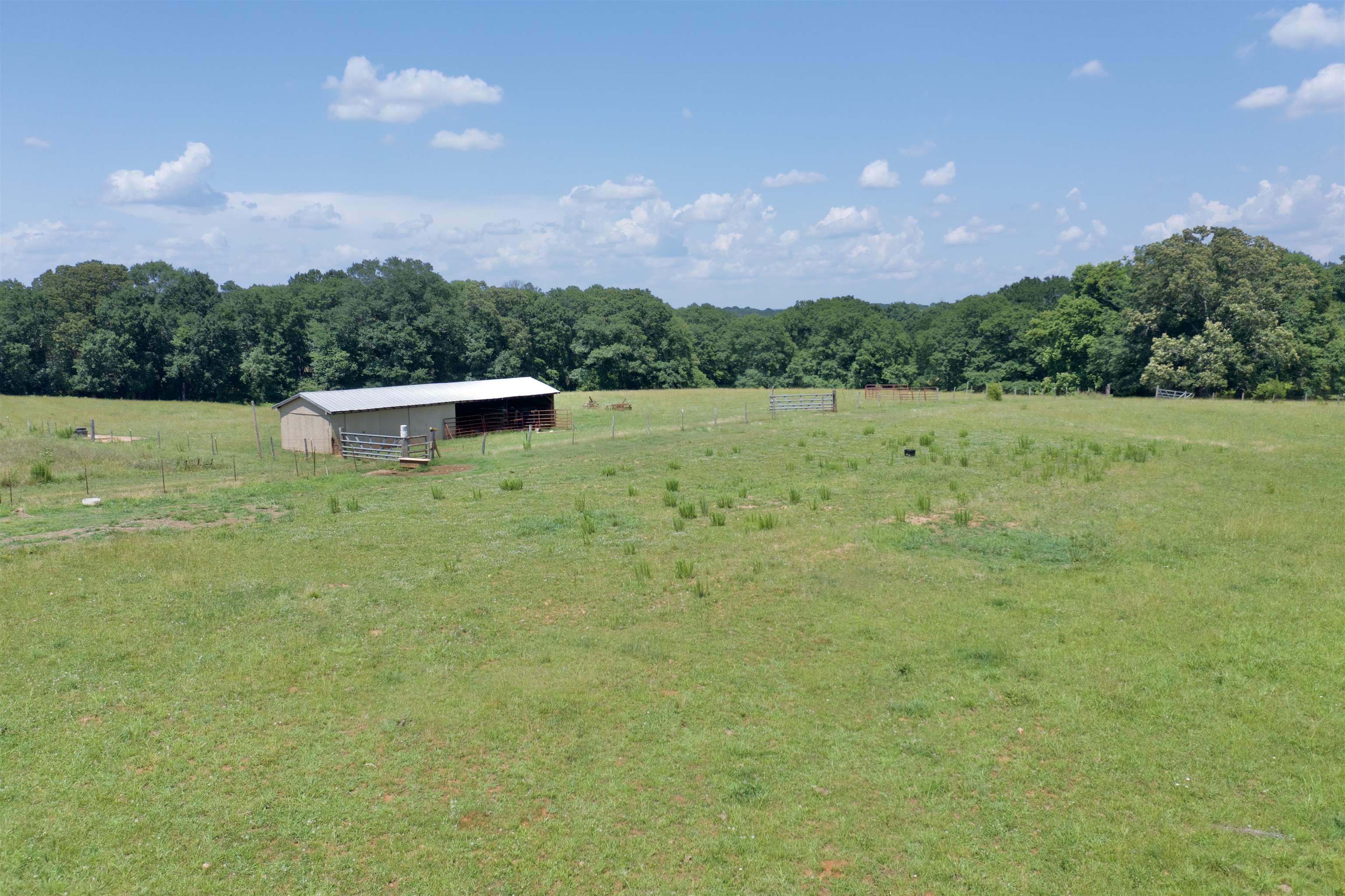 572 Green River Road Chesnee, SC 29323 - Photo 8 of 29