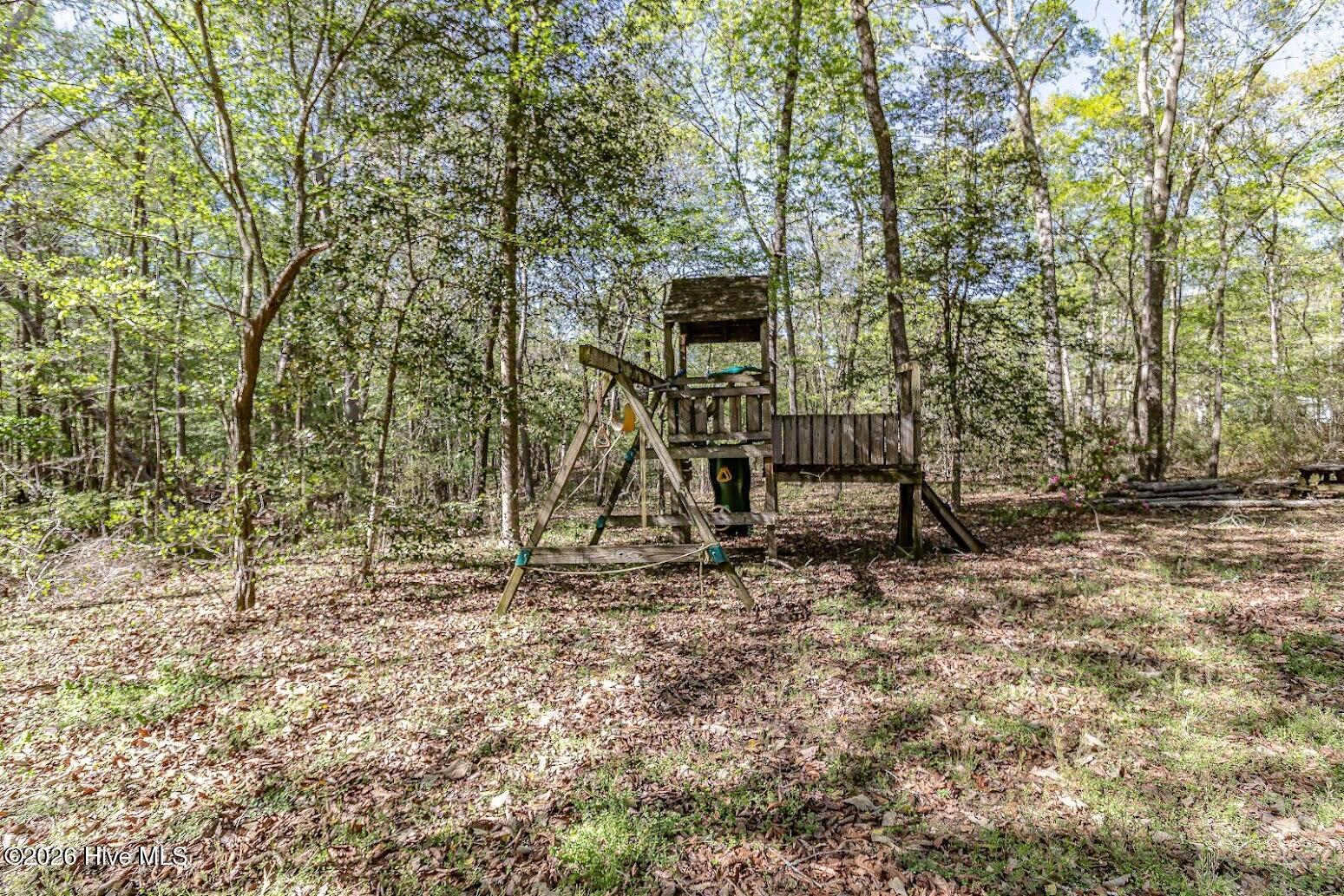 345 Rock Road Goldsboro, NC 27534 - Photo 25 of 30 playset