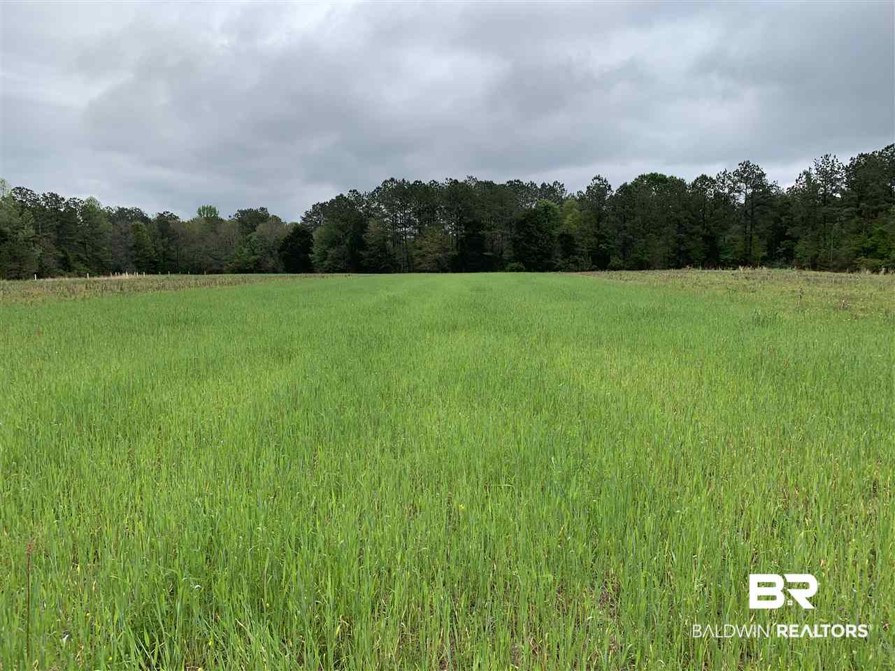 1478 Ridge Road Greenville, AL 36037 - Photo 10 of 50