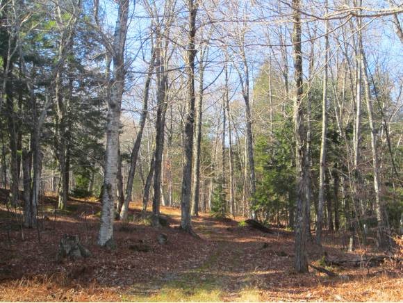 1583 Stratton Hill Road Marlboro, VT 05351 - Photo 8 of 20