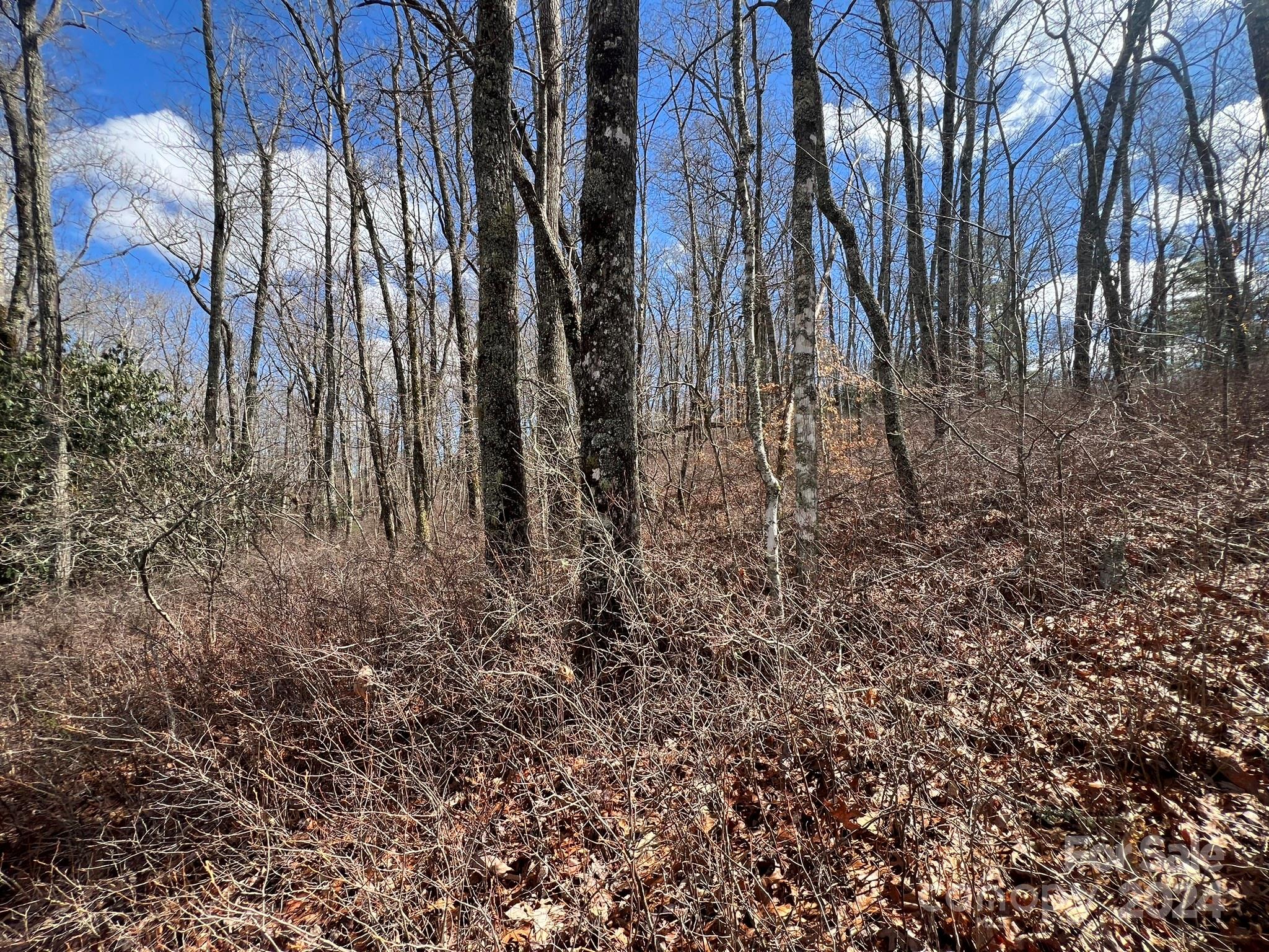 Tbd Shining Rock Ridge Balsam Grove, NC 28708 - Photo 26 of 28 Gallery Image 26