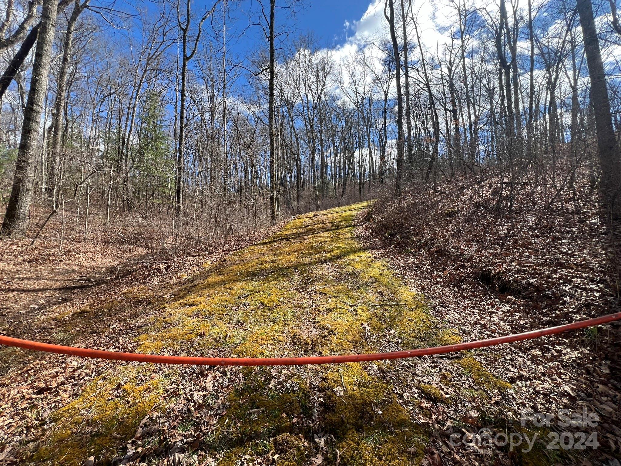 Tbd Shining Rock Ridge Balsam Grove, NC 28708 - Photo 28 of 28 Gallery Image 28