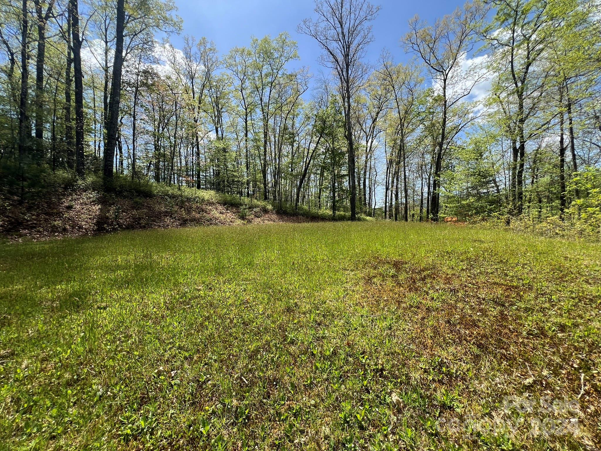Tbd Shining Rock Ridge Balsam Grove, NC 28708 - Photo 7 of 28 Gallery Image 7