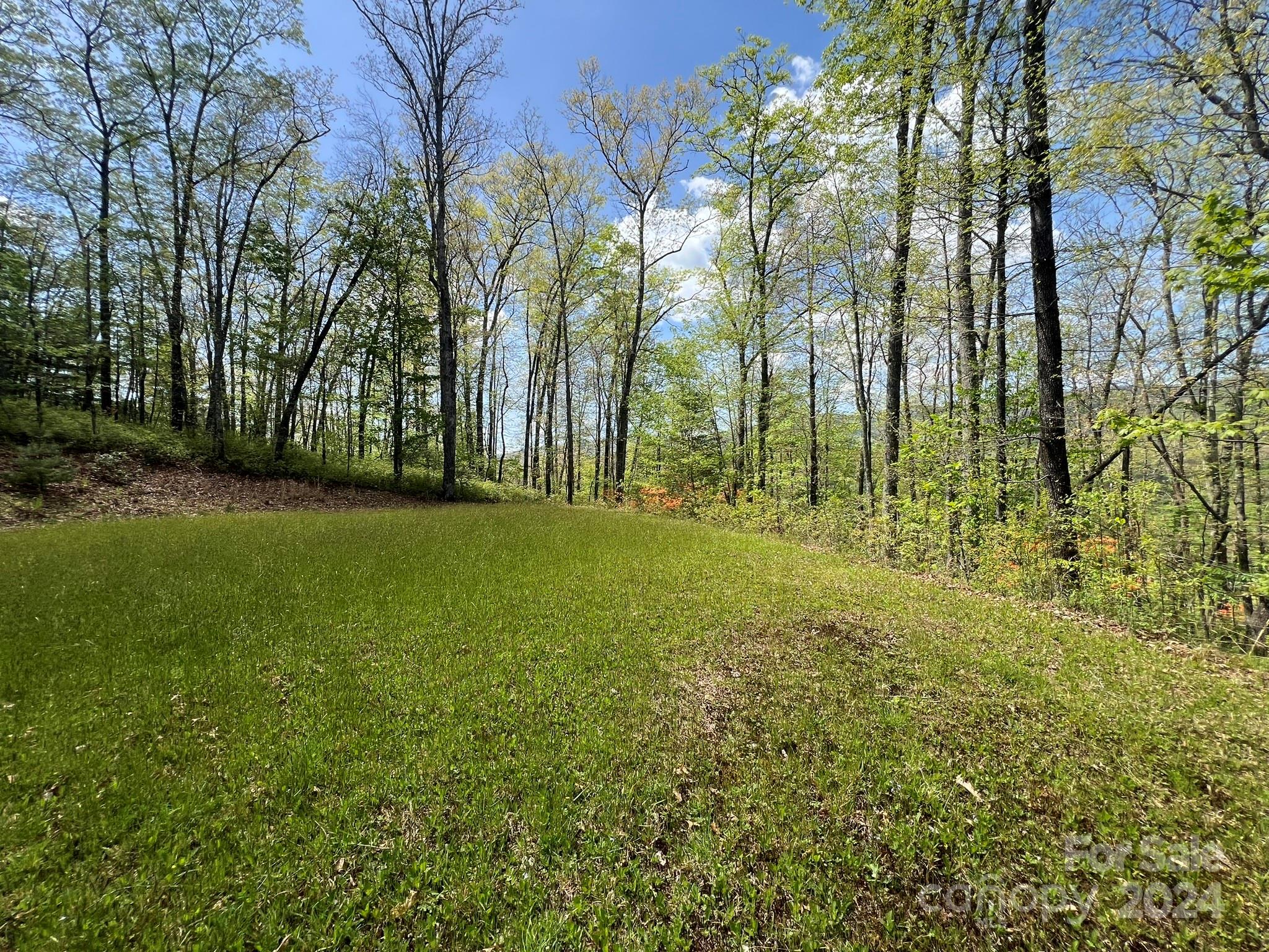 Tbd Shining Rock Ridge Balsam Grove, NC 28708 - Photo 8 of 28 Gallery Image 8