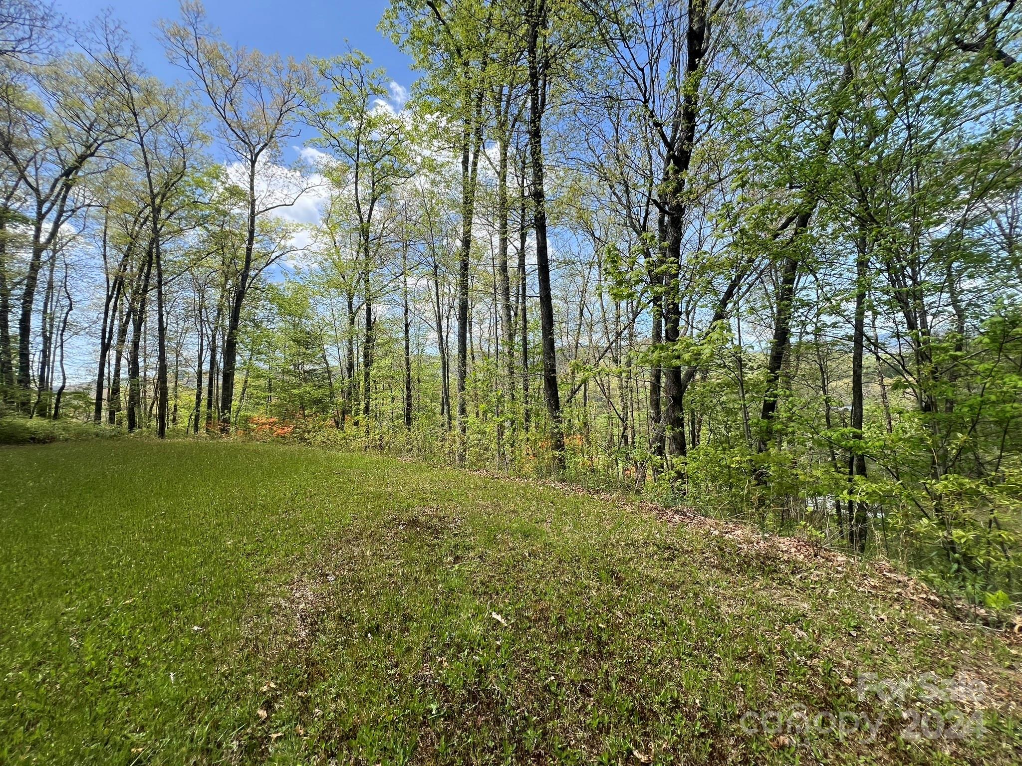 Tbd Shining Rock Ridge Balsam Grove, NC 28708 - Photo 9 of 28 Gallery Image 9