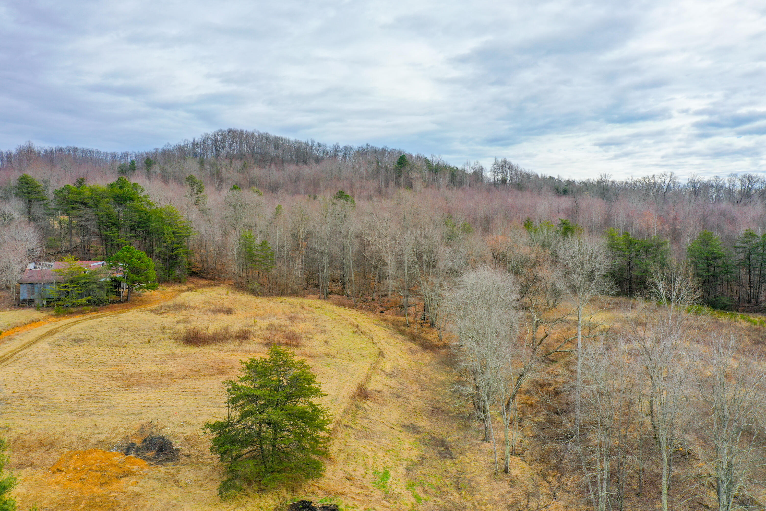 org_fd829f5240efd5ce_1706643874000-HDR