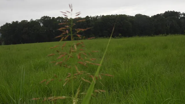 $2,899,000 | 4344 Double S Road, Dayton, TN 37321