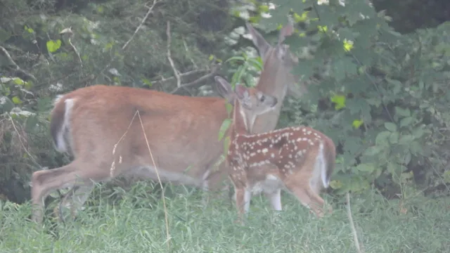 $2,899,000 | 4344 Double S Road, Dayton, TN 37321