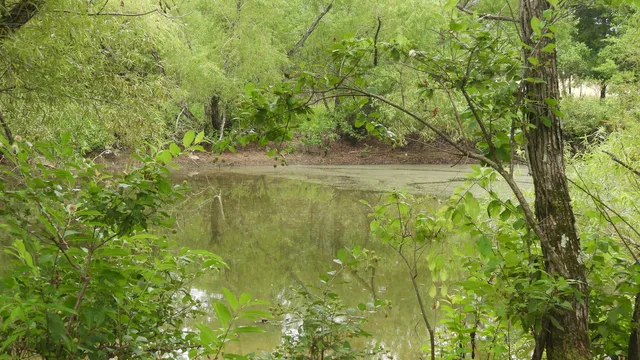 $2,899,000 | 4344 Double S Road, Dayton, TN 37321