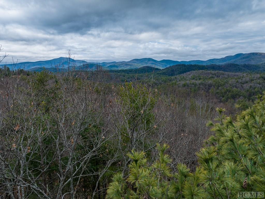 Tbd Highlands View Road Highlands, NC 28741 - Photo 6 of 6 Gallery Image 6