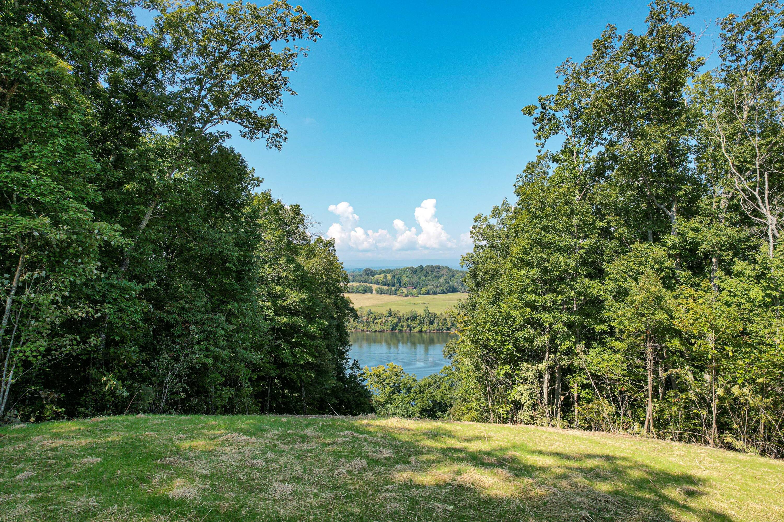 Lot 79 Espalier Drive Decatur, TN 37322 - Photo 6 of 24 Espalier Bay 2nd and Pie Shaped Lot-6