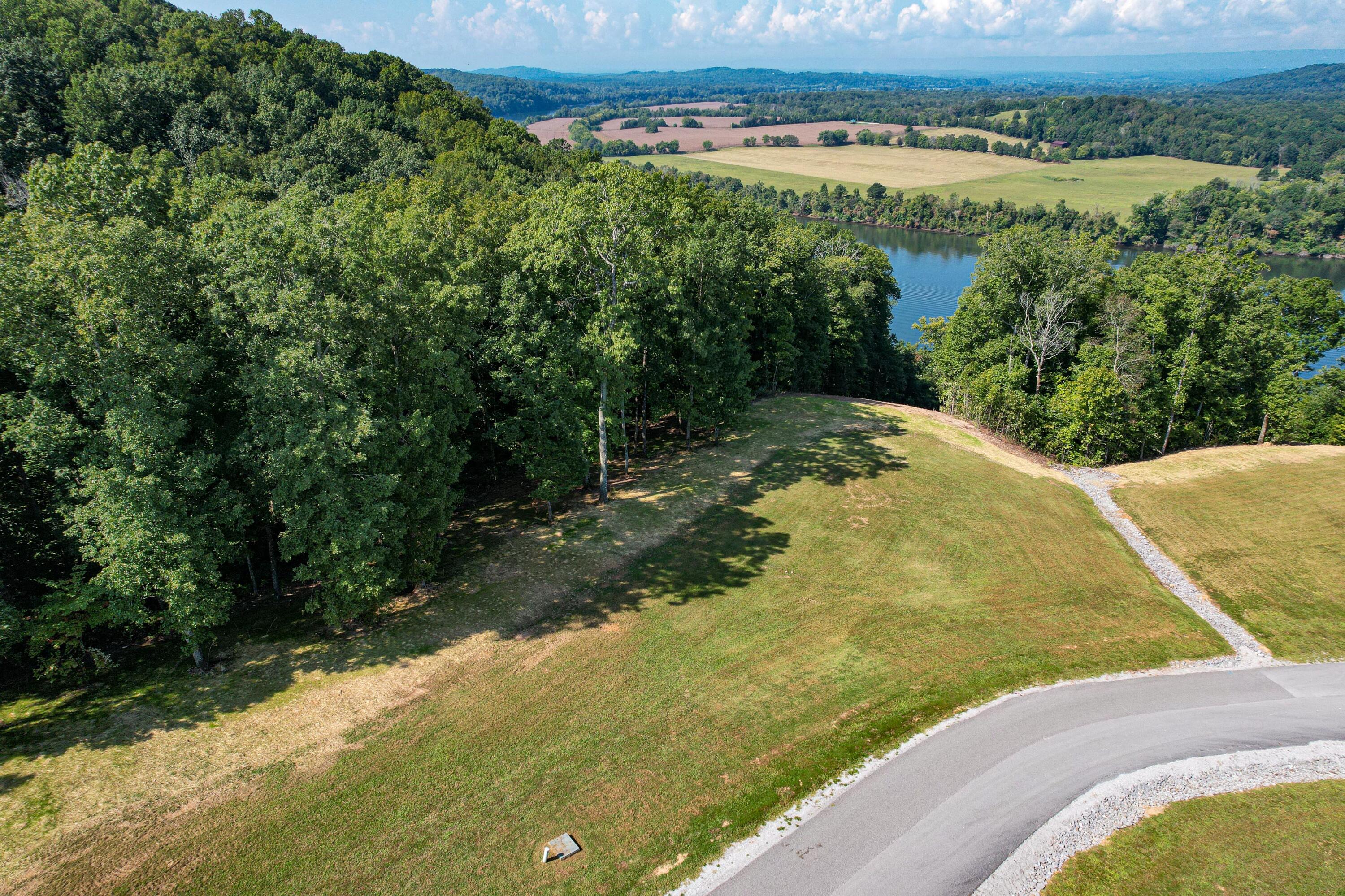 Lot 79 Espalier Drive Decatur, TN 37322 - Photo 7 of 24 Espalier Bay 2nd and Pie Shaped Lot-10