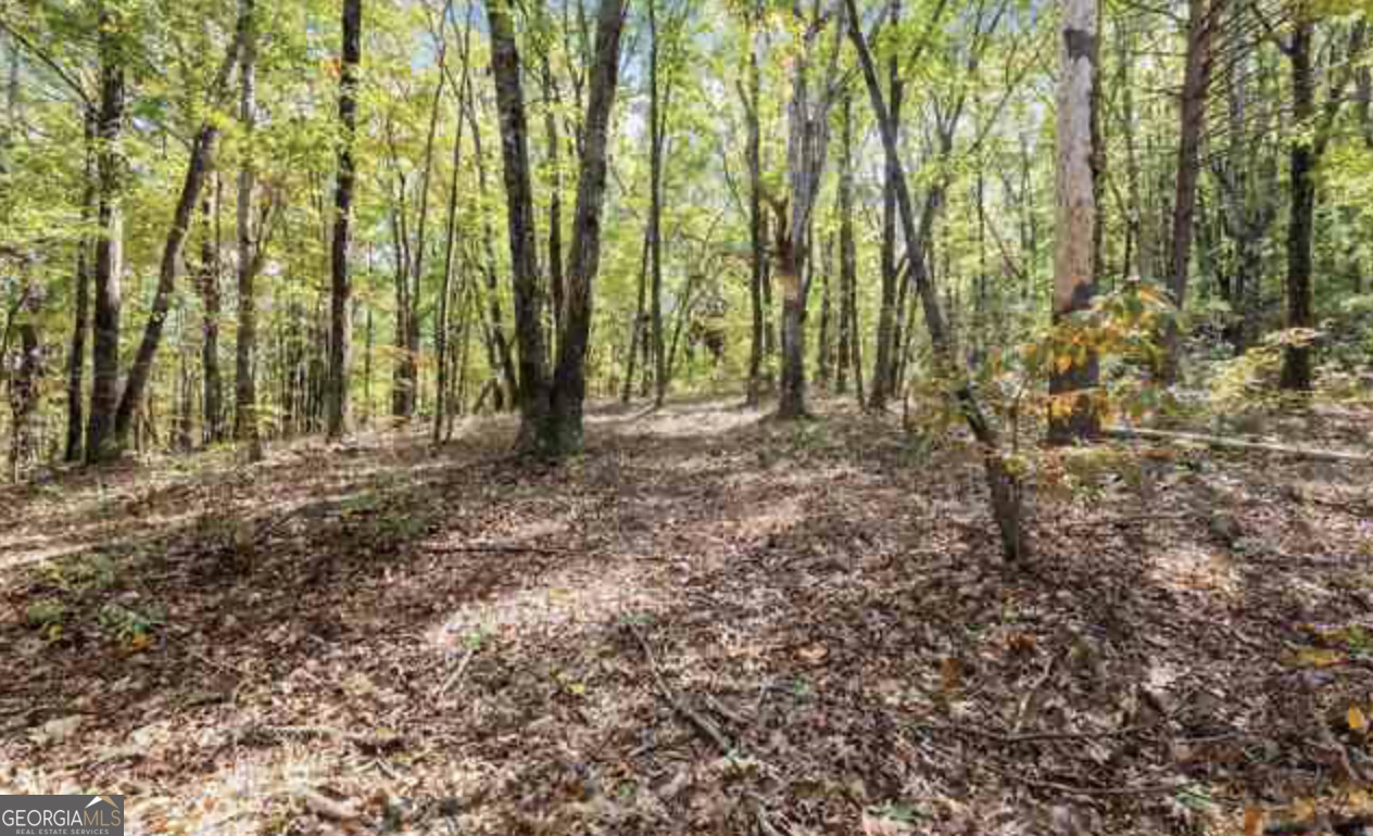 Lot 24 Luther Palmer Road Murrayville, GA 30564 - Photo 12 of 12 a view of outdoor space with deck and tree