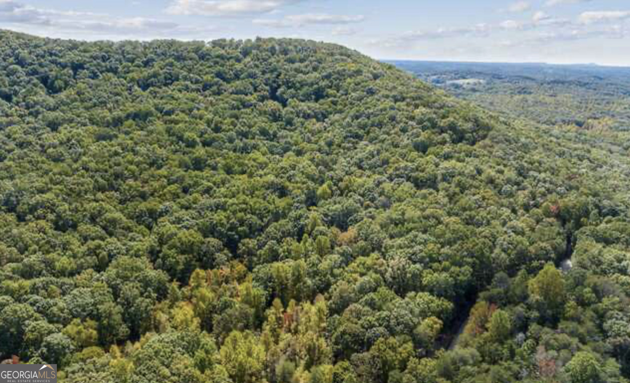 Lot 24 Luther Palmer Road Murrayville, GA 30564 - Photo 3 of 12 an aerial view of a house with a yard