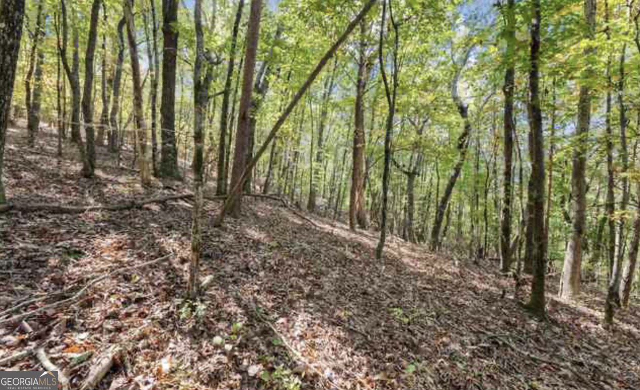 Lot 24 Luther Palmer Road Murrayville, GA 30564 - Photo 5 of 12 a view of forest