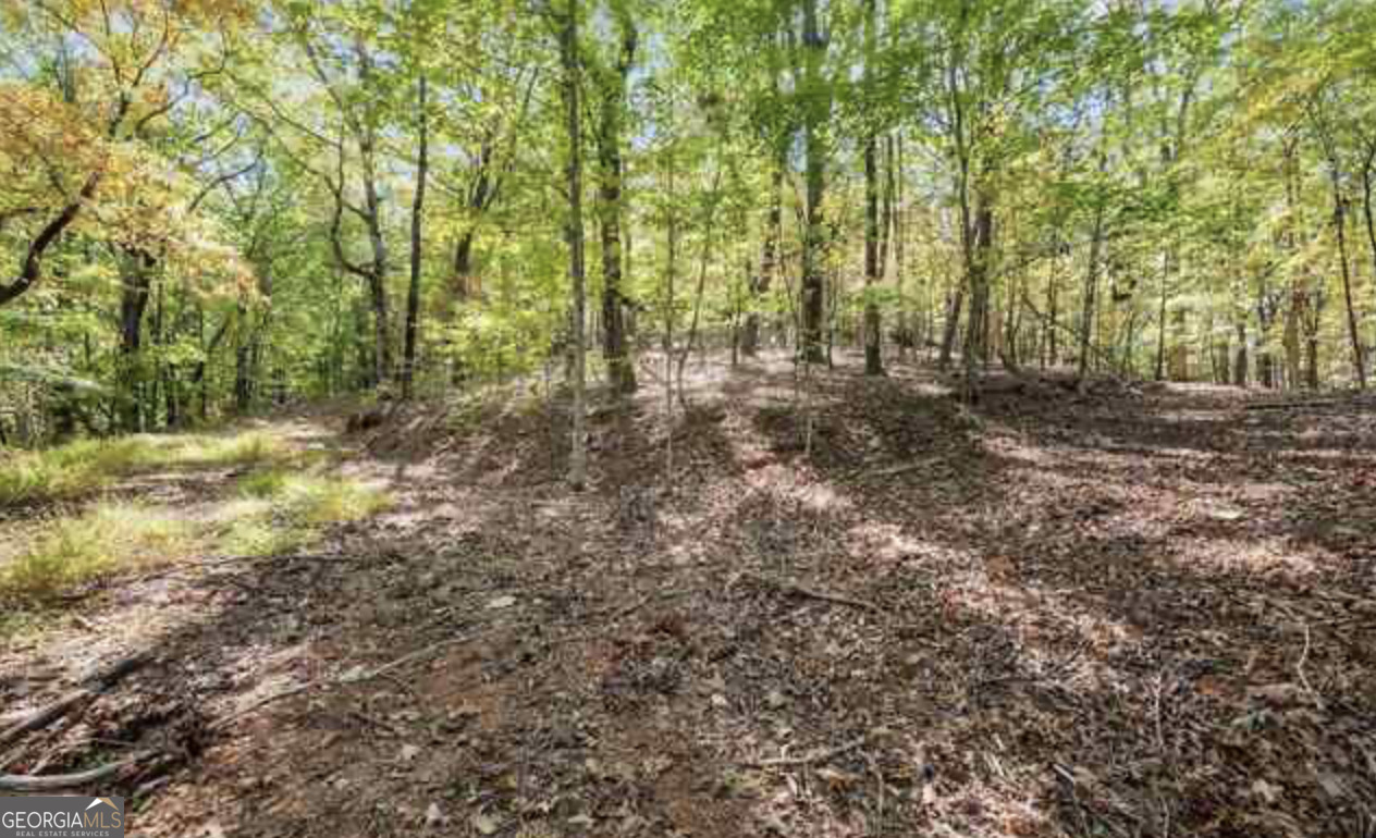 Lot 24 Luther Palmer Road Murrayville, GA 30564 - Photo 7 of 12 a view of backyard with green space