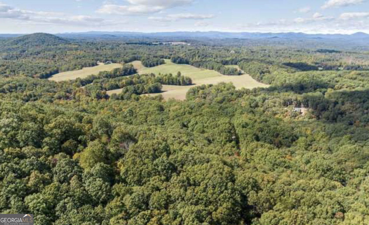 Lot 24 Luther Palmer Road Murrayville, GA 30564 - Photo 9 of 12 an aerial view of residential houses with outdoor space and trees