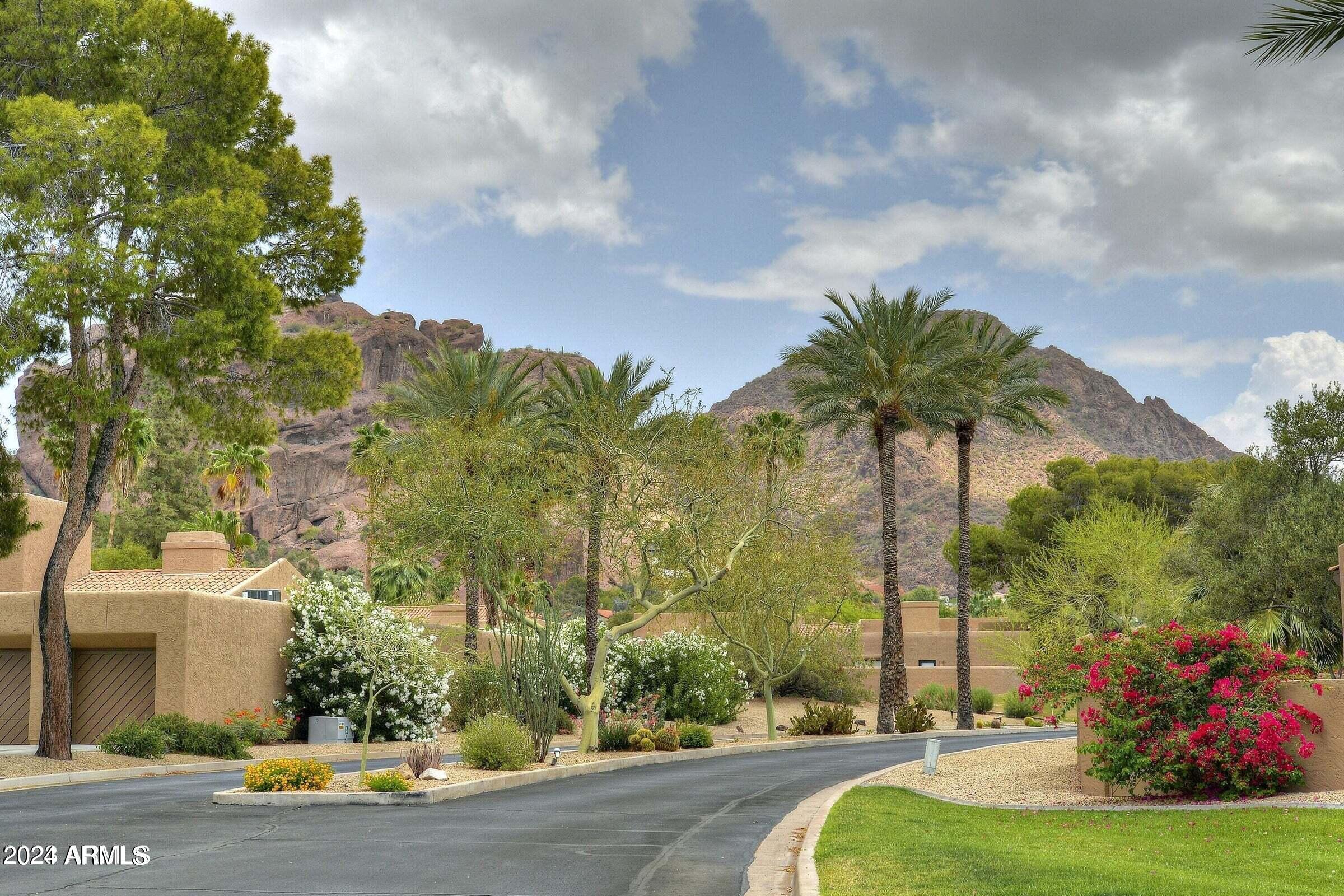 a view of a garden with a fountain