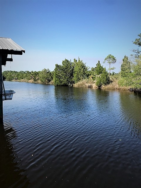 20694 Marina Road Perry, FL 32348 - Photo 12 of 20 Gallery Image 12