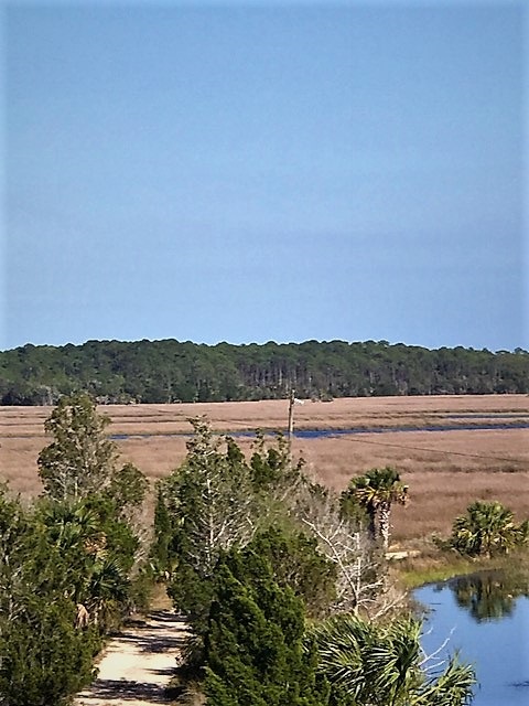 20694 Marina Road Perry, FL 32348 - Photo 5 of 20 Gallery Image 5