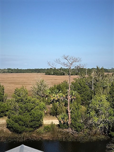 20694 Marina Road Perry, FL 32348 - Photo 6 of 20 Gallery Image 6