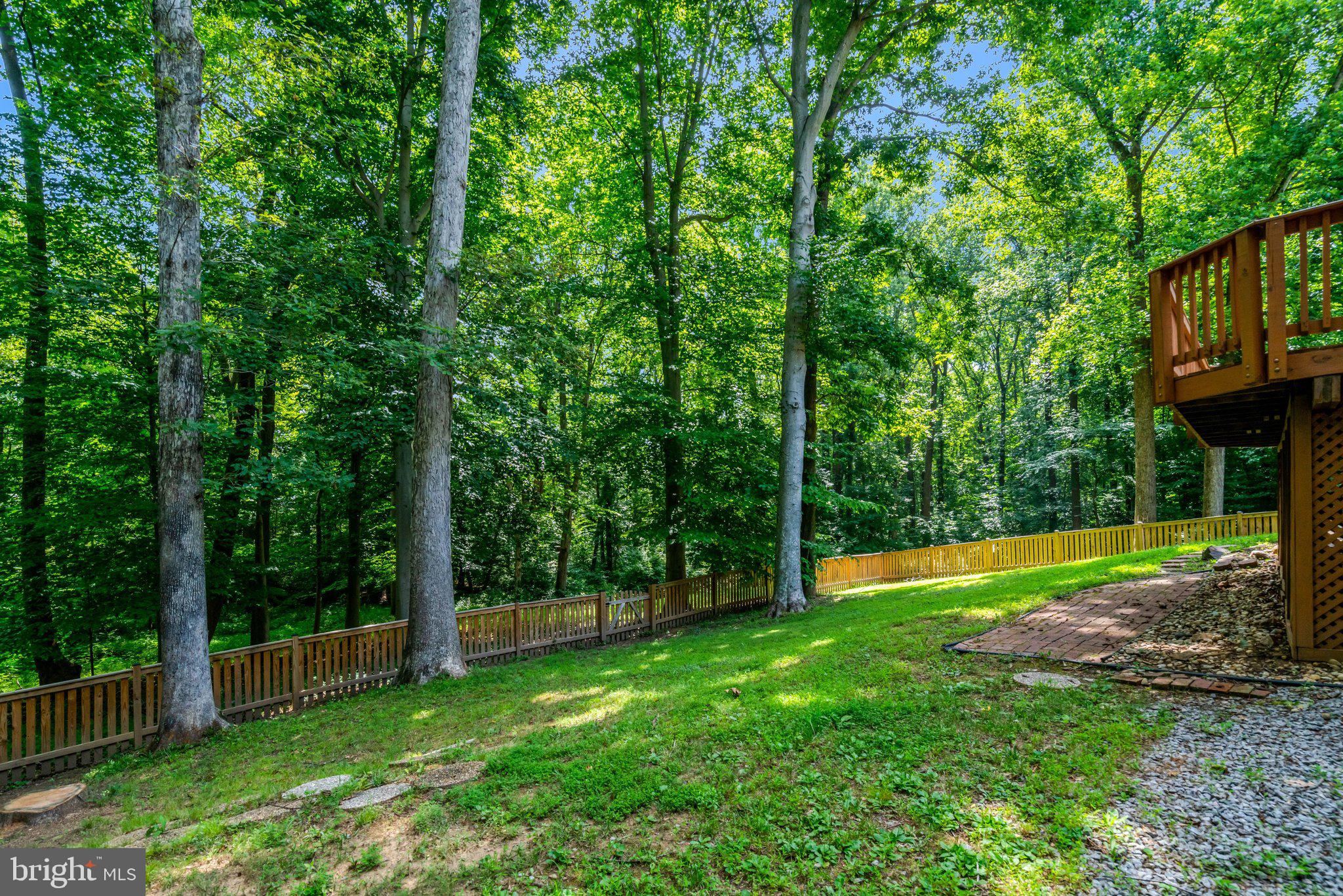 7217 Reservation Drive Springfield, VA 22153 - Photo 55 of 57