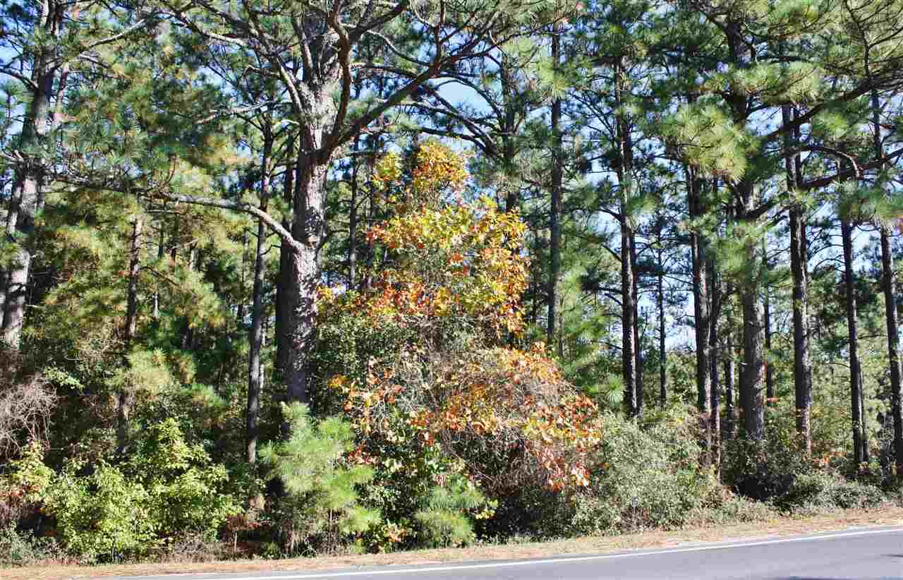 4345 Murdocksville Road Pinehurst, NC 28374 - Photo 1 of 2 Primary Photo