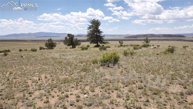 7228 Boulder Road Lake George, CO 80827 - Photo 31 of 35 Gallery Image 31