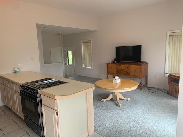 4882 Valley View Road Bellaire, MI 49615 - Photo 9 of 27