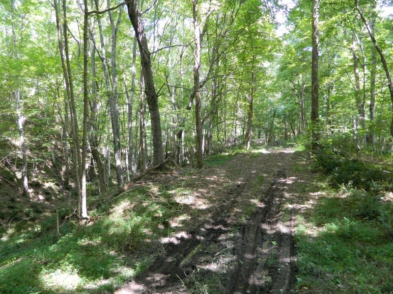 1300 Hyden Road Booneville, KY 41314 - Photo 14 of 27 Photo 14