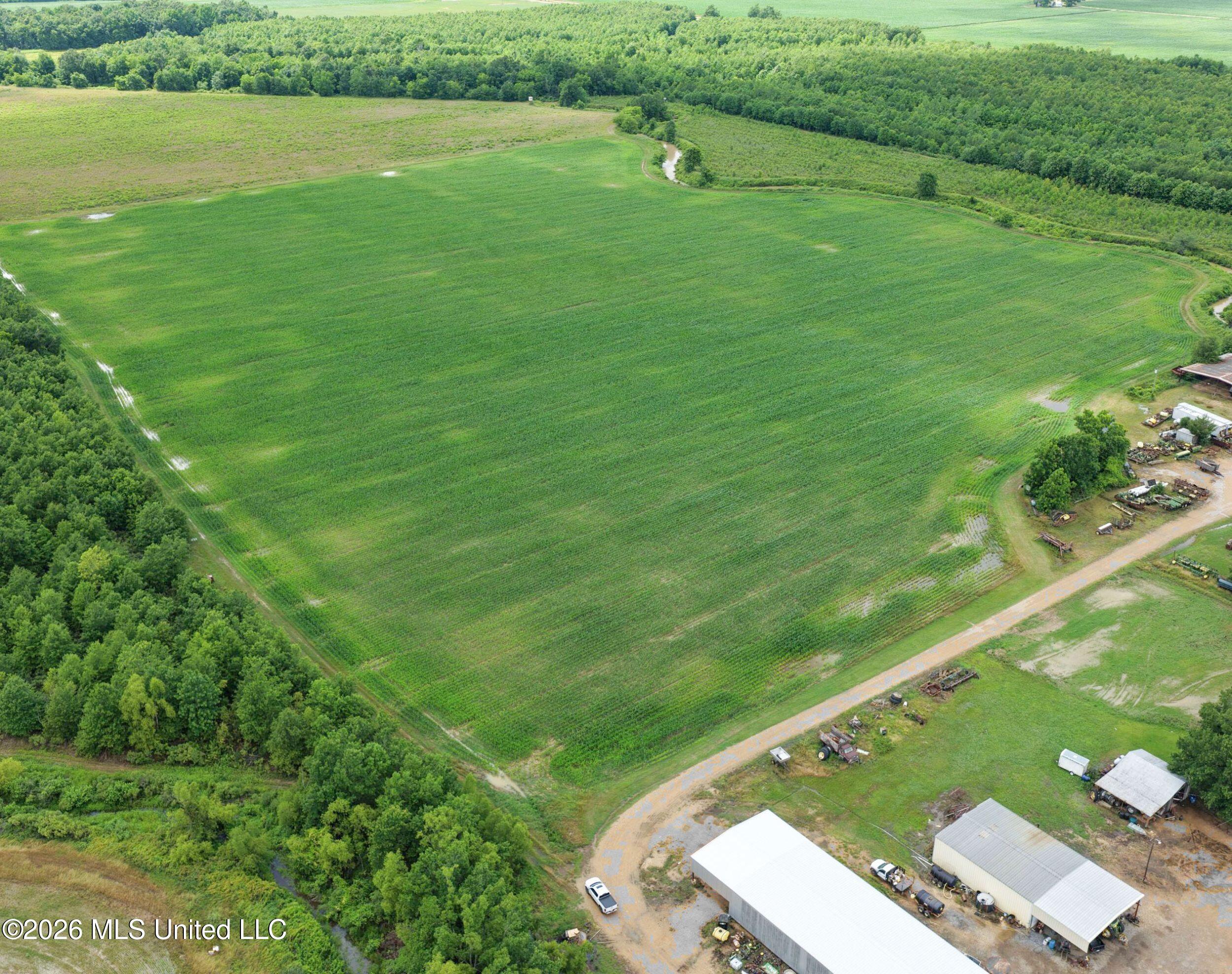 Dummyline Road Batesville, MS 38606 - Photo 14 of 44 2tndllnd2