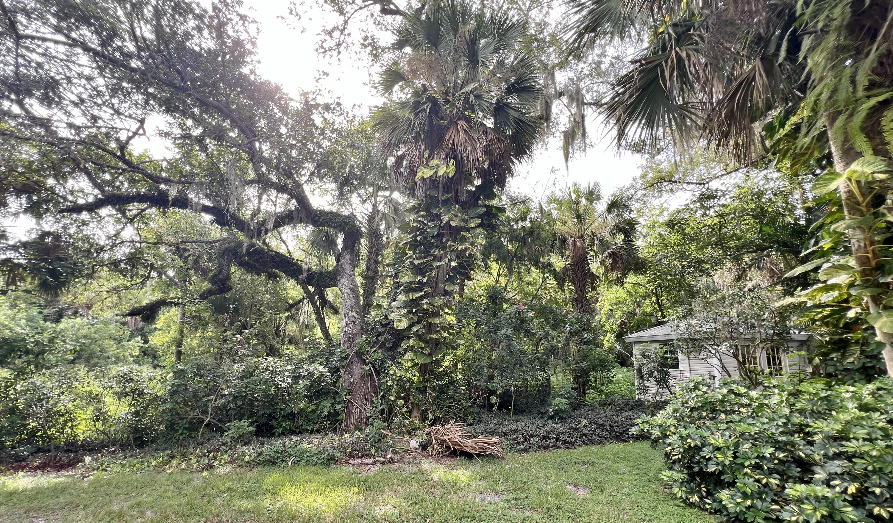 1775 Williamsburg Way Melbourne, FL 32934 - Photo 28 of 28 Back Yard