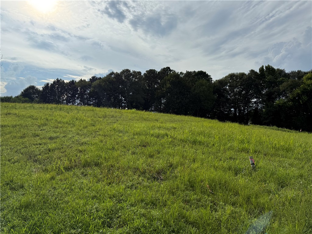 102 Bradford Way Anderson, SC 29621 - Photo 4 of 10