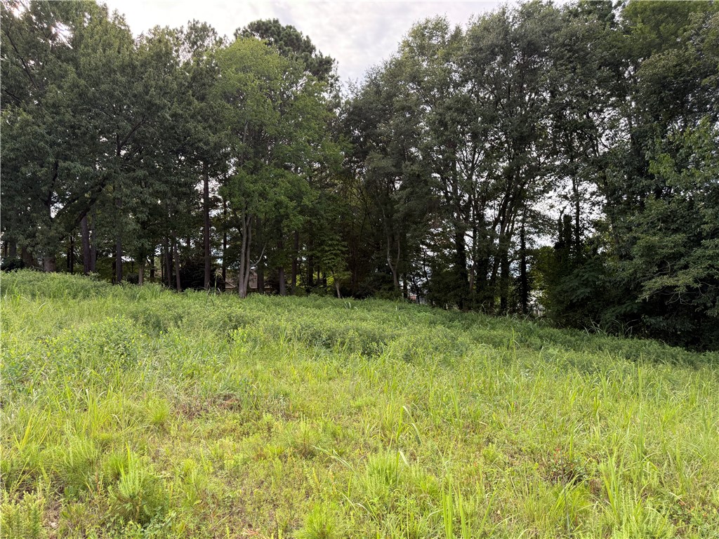 102 Bradford Way Anderson, SC 29621 - Photo 8 of 10