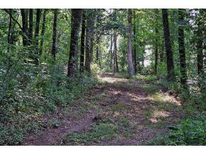 Lot 4 Allens Bridge Road, Unit 4 Greeneville, TN 37743 - Photo 1 of 7 Photo 1