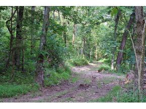 Lot 4 Allens Bridge Road, Unit 4 Greeneville, TN 37743 - Photo 3 of 7 Photo 3