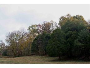 Lot 4 Allens Bridge Road, Unit 4 Greeneville, TN 37743 - Photo 5 of 7 Photo 6