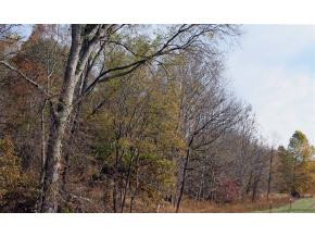 Lot 4 Allens Bridge Road, Unit 4 Greeneville, TN 37743 - Photo 6 of 7 Photo 7