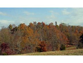 Lot 4 Allens Bridge Road, Unit 4 Greeneville, TN 37743 - Photo 7 of 7 Photo 8