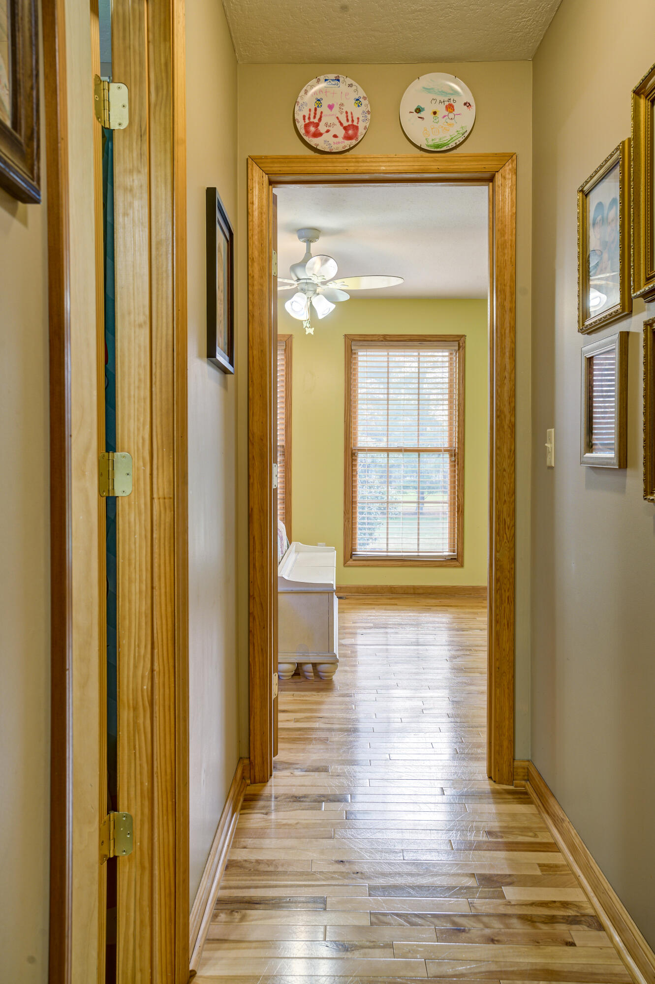 322 Price Road Elizabethton, TN 37643 - Photo 29 of 58 Price-Land--15