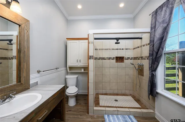 a bathroom with a granite countertop sink a toilet and shower
