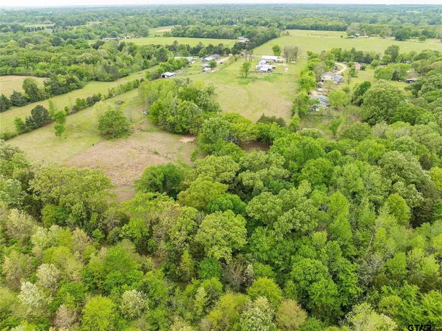 an aerial view of residential houses with outdoor space and trees