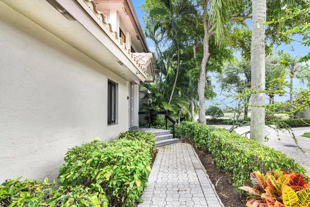 a view of a pathway with plants