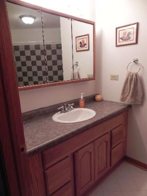 3392 Dredge Road Paw Paw, IL 61353 - Photo 10 of 18 a bathroom with a sink and a mirror
