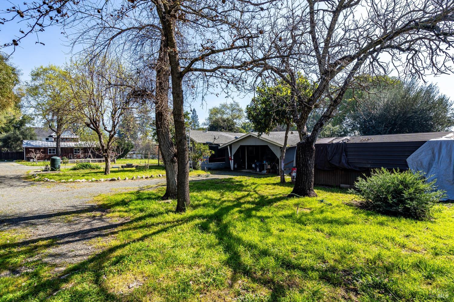 Undisclosed Address St. Helena, CA 94574 - Photo 7 of 8 a view of a garden with wooden fence