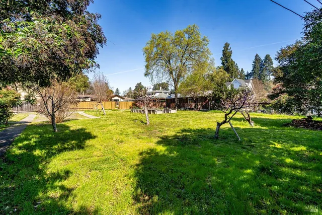 a view of a swimming pool with a garden and trees