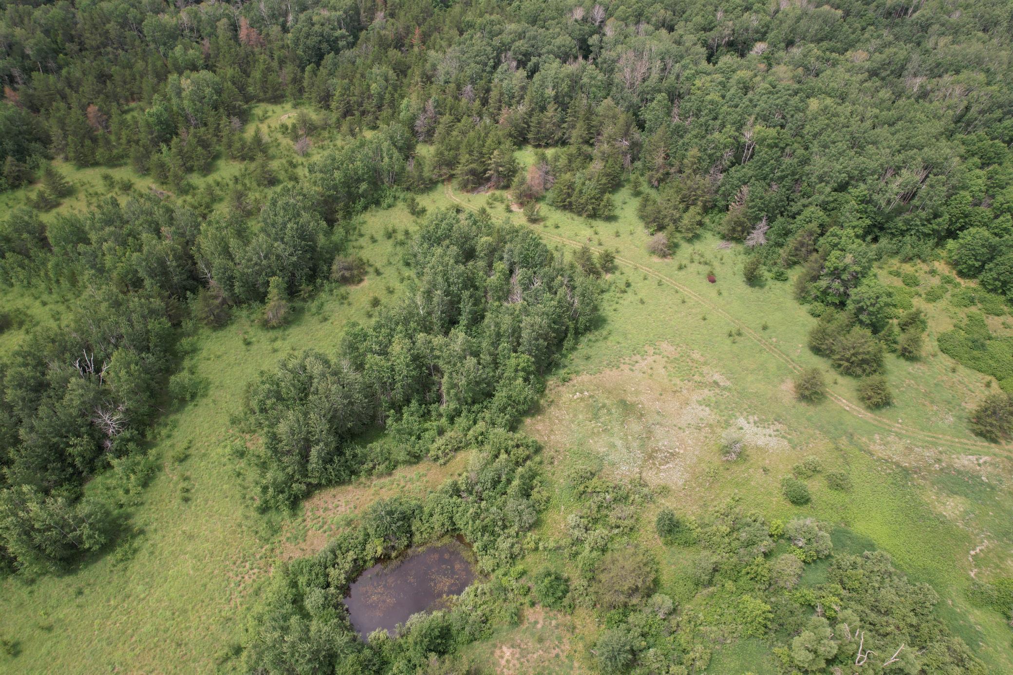 Tbd 350th Street Sebeka, MN 56477 - Photo 26 of 100