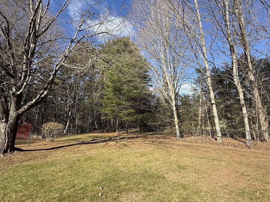 285 Brookfield Road Sturbridge, MA 01518 - Photo 38 of 42 a view of a yard with trees