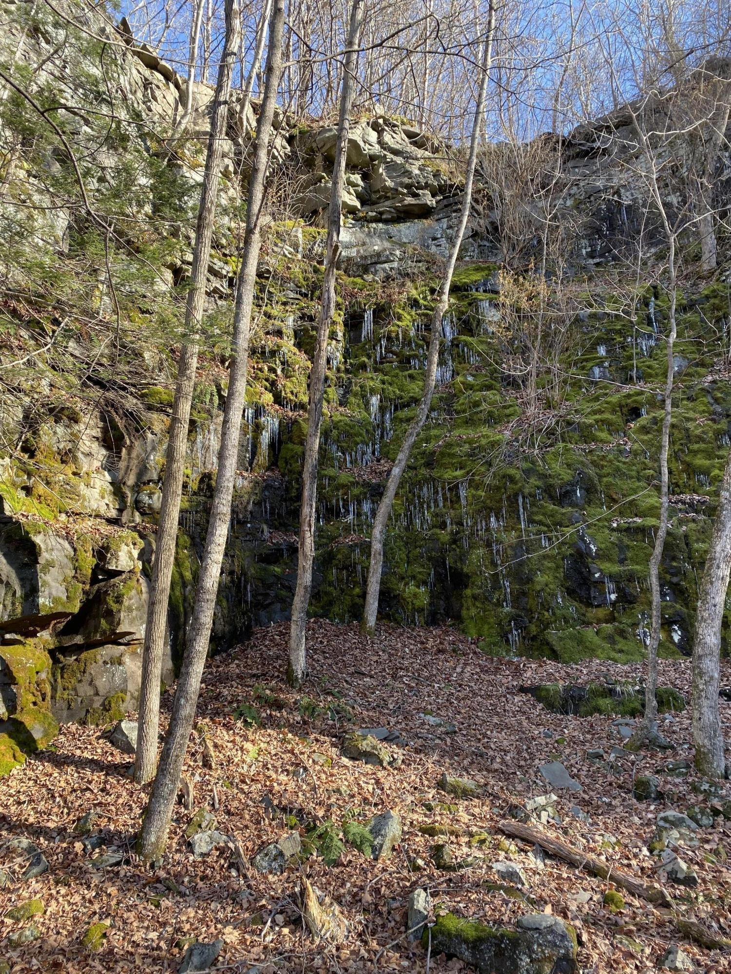 Mountain View Road Newfoundland, PA 18445 - Photo 14 of 15