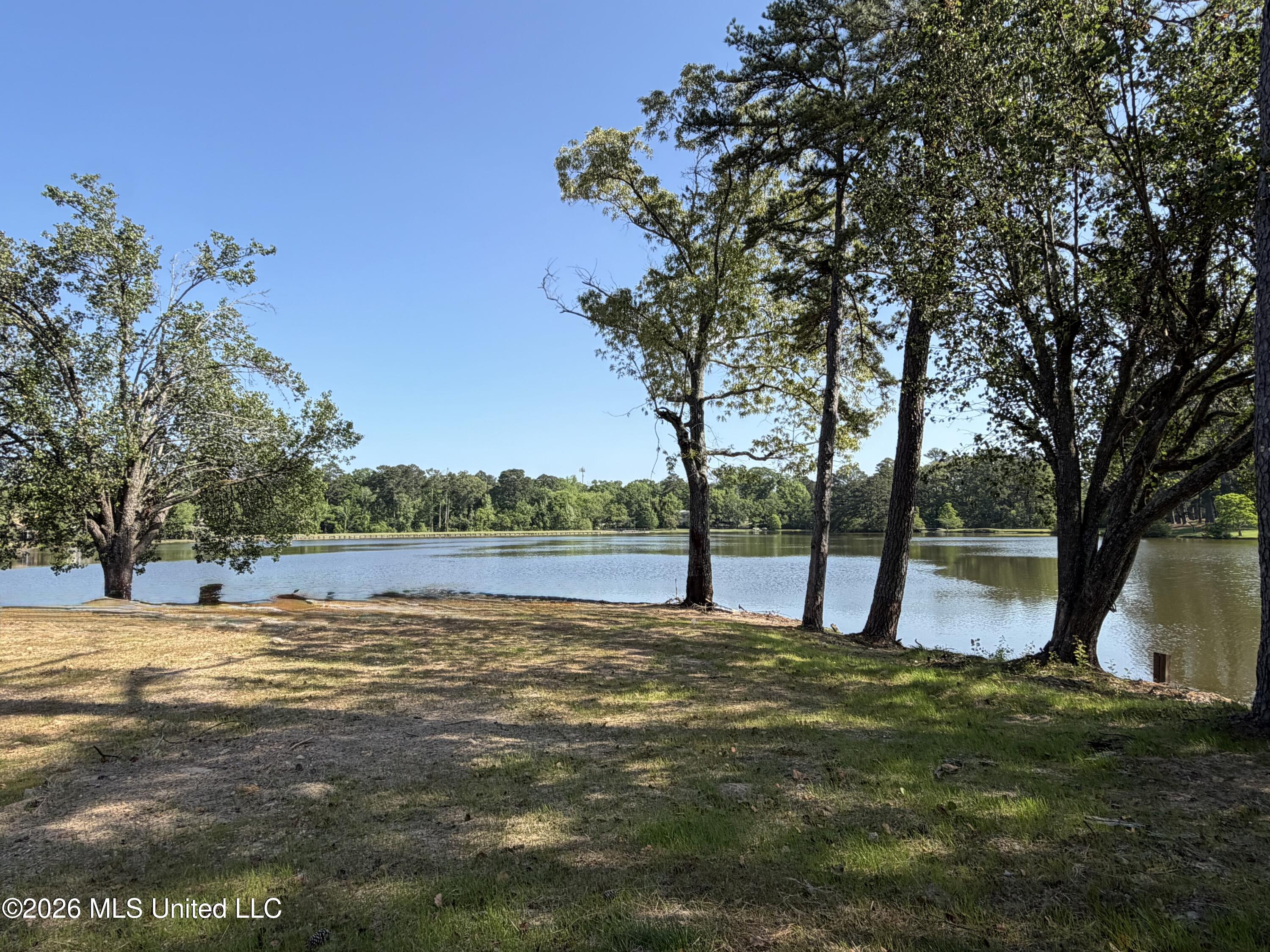 4 Spring Lake Point Pearl, MS 39208 - Photo 7 of 31 IMG_8086